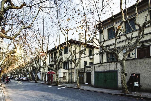 掩映梧桐叶下,深不可测的老弄堂,保留最纯粹的上海市井气