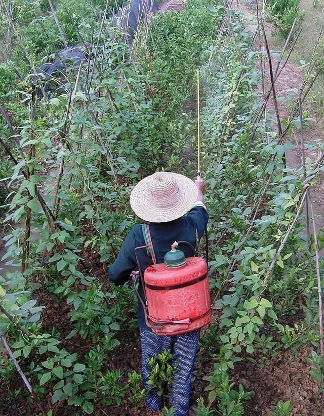 老王种蔬菜和瓜果，人家施肥，他喷牛奶，收入却比别人高三倍