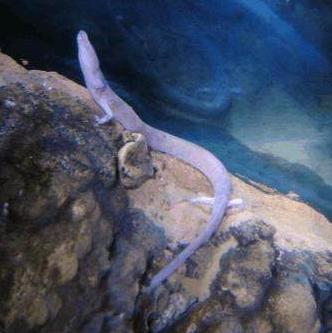 С����������������������ؼ�����������ר�ҵĻ����Ƿ�����