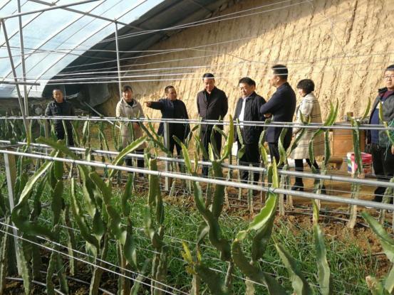 ϻǵίǺң¸Ļɣ ʵɾΪ黳