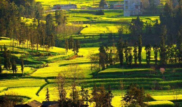 云南城市排名几排名_​云南多地房价涨幅排名全国前列,昆明涨7%大理涨