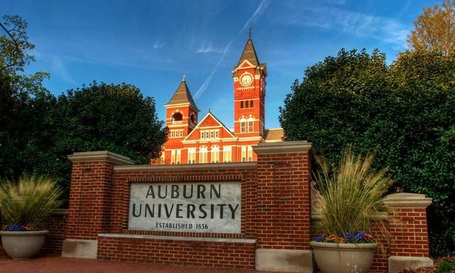 浙江专科排名2020最_校友会2020中国大学创新人才培养质量排名500强,清华