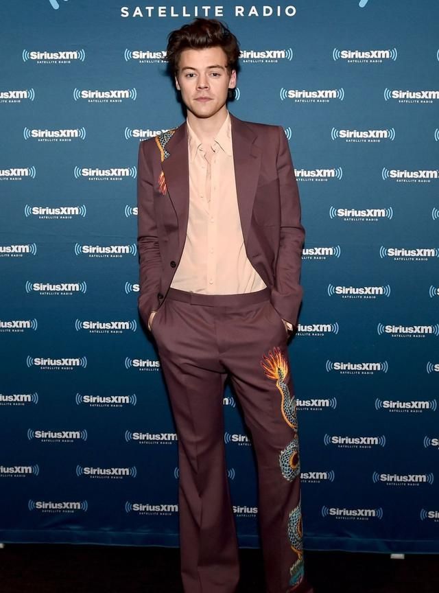 Harry Styles,sign of the times 哈里·斯泰尔斯(harry styles),世界上穿着最考究的男人之一