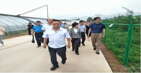 ϻǵίǺң¸Ļɣ ʵɾΪ黳