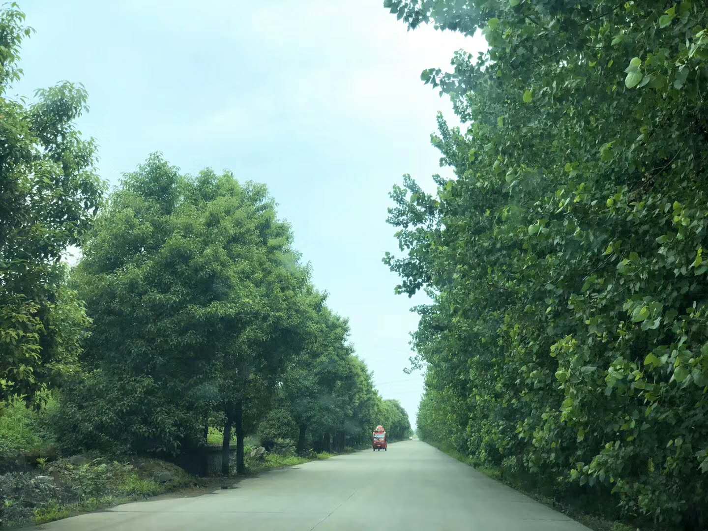 地区观察:三年行动之广东,“3435”改革要义