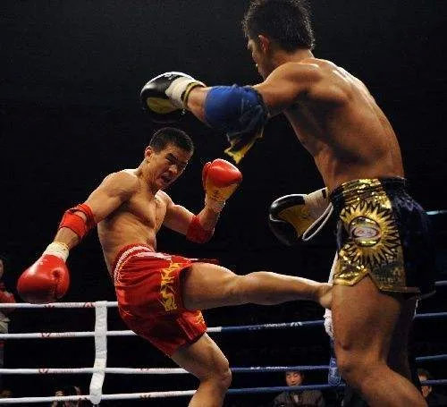 中国散打的半壁江山!盘点河南籍高手!