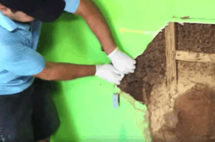 男子买二手房闻见“臭味”，砸开墙壁后，里面东西让他无法淡定