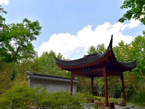 盐城高考成绩在排名_2020盐城各大中学高考喜报(持续更新中)