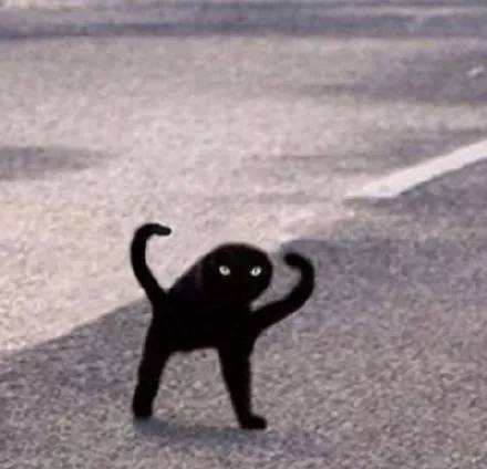 爱了爱了|鬼畜|黑猫|沙雕_新浪新闻