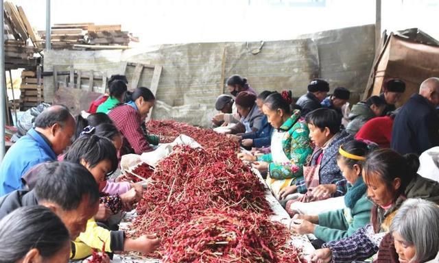 贵州毕节：扶贫车间让易地搬迁群众搬得出稳得住