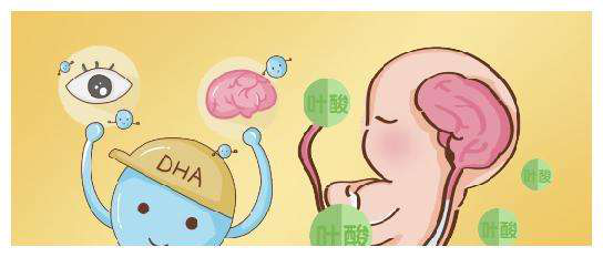 孕期要不要补 DHA？怎么补？跟着朵博士，我们来好好聊聊