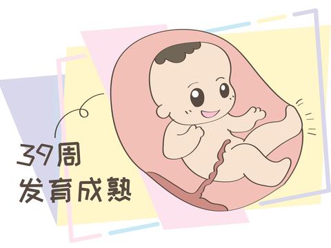 剖宫产的手术,为什么都被建议在39周,而不是足月之后?