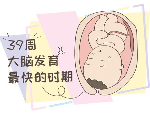 剖宫产的手术,为什么都被建议在39周,而不是足月之后?