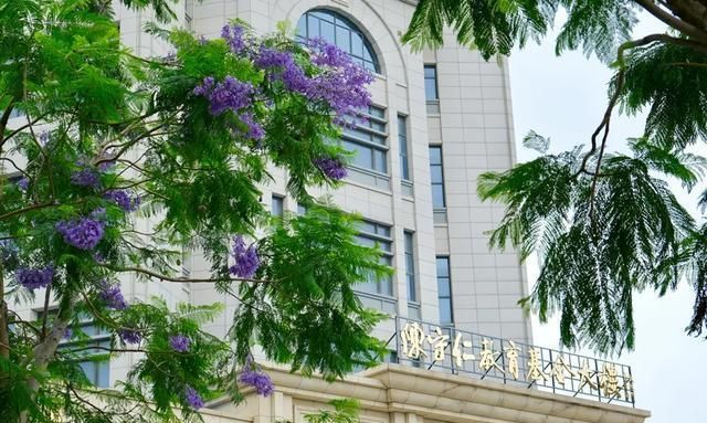 泉州市第五中学2020_请看东南网报道_泉州五中