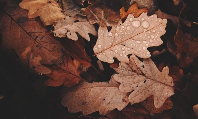 宋代诗人很豪放的一首词,句句豪横的不得了,最后9字却转为心酸