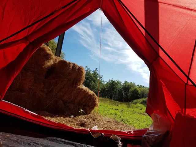 订房爆满,英国农场主嗅到商机,1000英镑出租自家牛棚一周