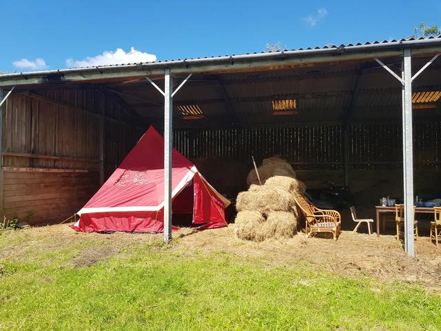 订房爆满,英国农场主嗅到商机,1000英镑出租自家牛棚一周