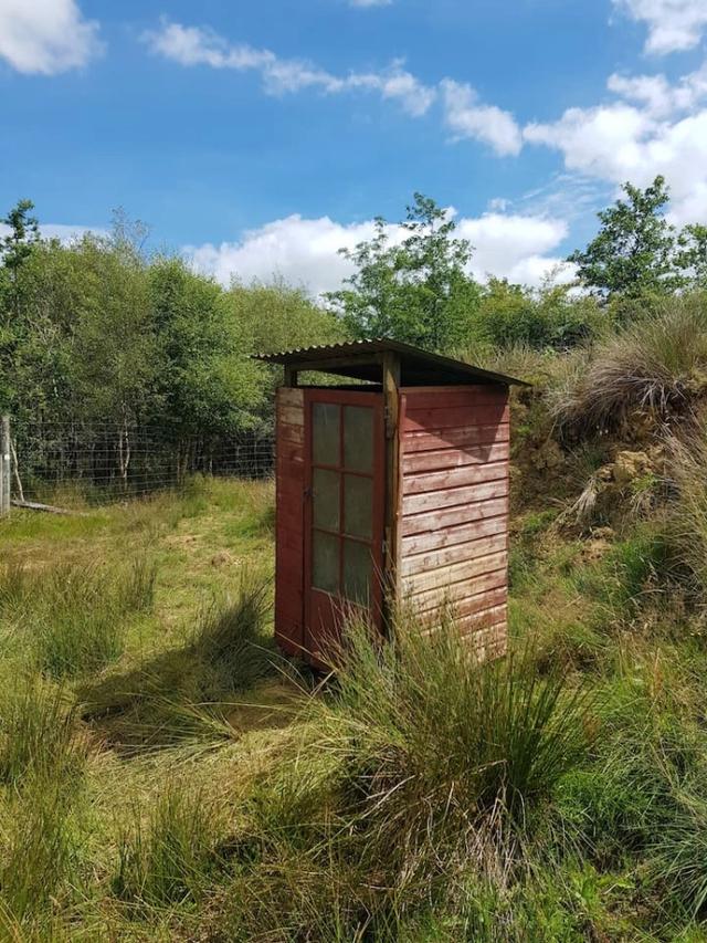 订房爆满,英国农场主嗅到商机,1000英镑出租自家牛棚一周