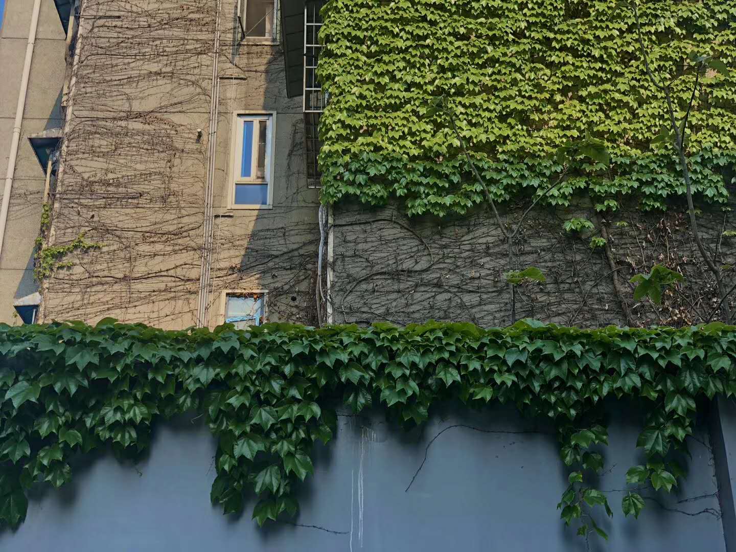 员工持股例外!新《证券法》加速推进国企混改