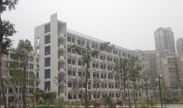 广东省各中学2020高_最强中学出炉!2020广东竞赛中学榜公布,华附棋逢对手