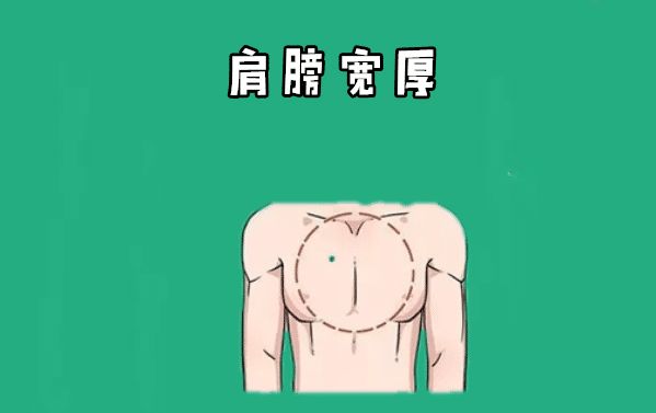身体这五个部位越“饱”越好,贵人多,财运强,容易成为有钱人!
