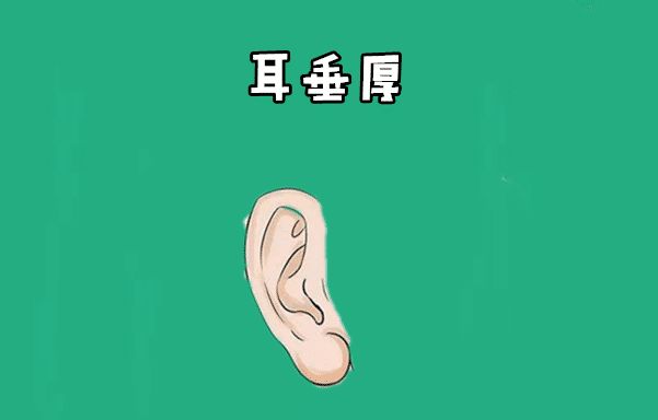 身体这五个部位越“饱”越好,贵人多,财运强,容易成为有钱人!