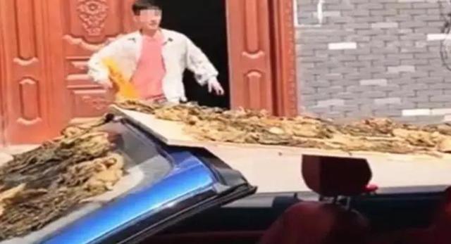 老太太在56万宝马上晒咸菜,车主在一旁却只能赔笑:她开心就好