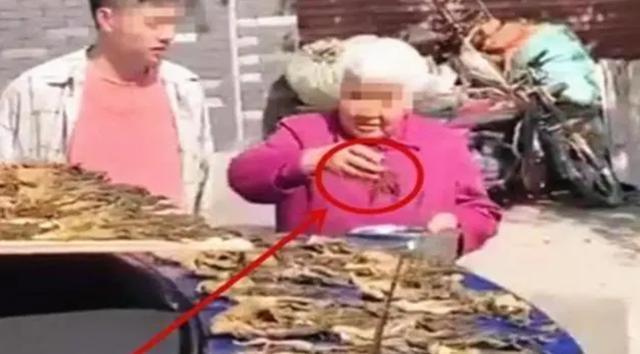 老太太在56万宝马上晒咸菜,车主在一旁却只能赔笑:她开心就好