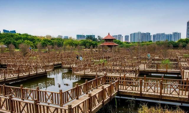 厦门“最大”的公园,占地面相当于半个鼓浪屿,门票免费少有人知