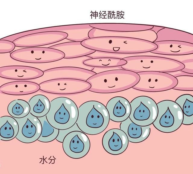 夏天,干皮和油皮哪个更惨?答案竟然是……