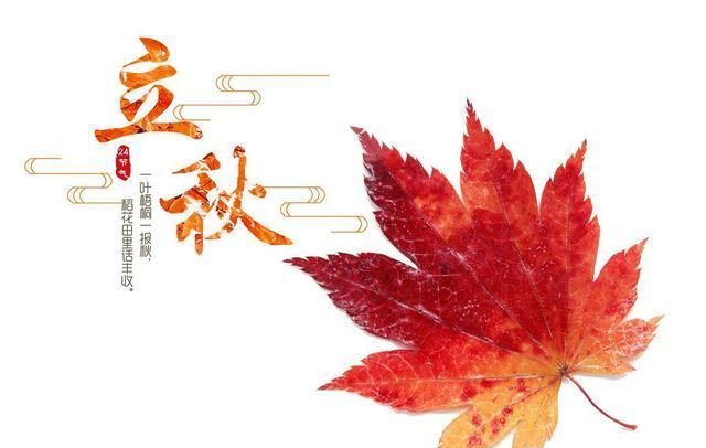 8月7号立秋"公秋把扇丢,母秋热死牛,今年是公秋还是母秋