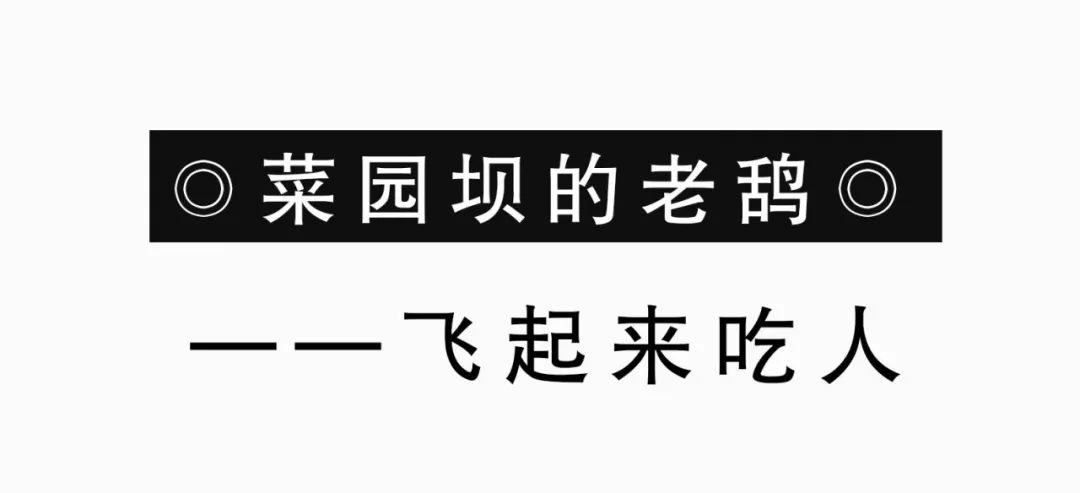 重庆人，请说重庆话！