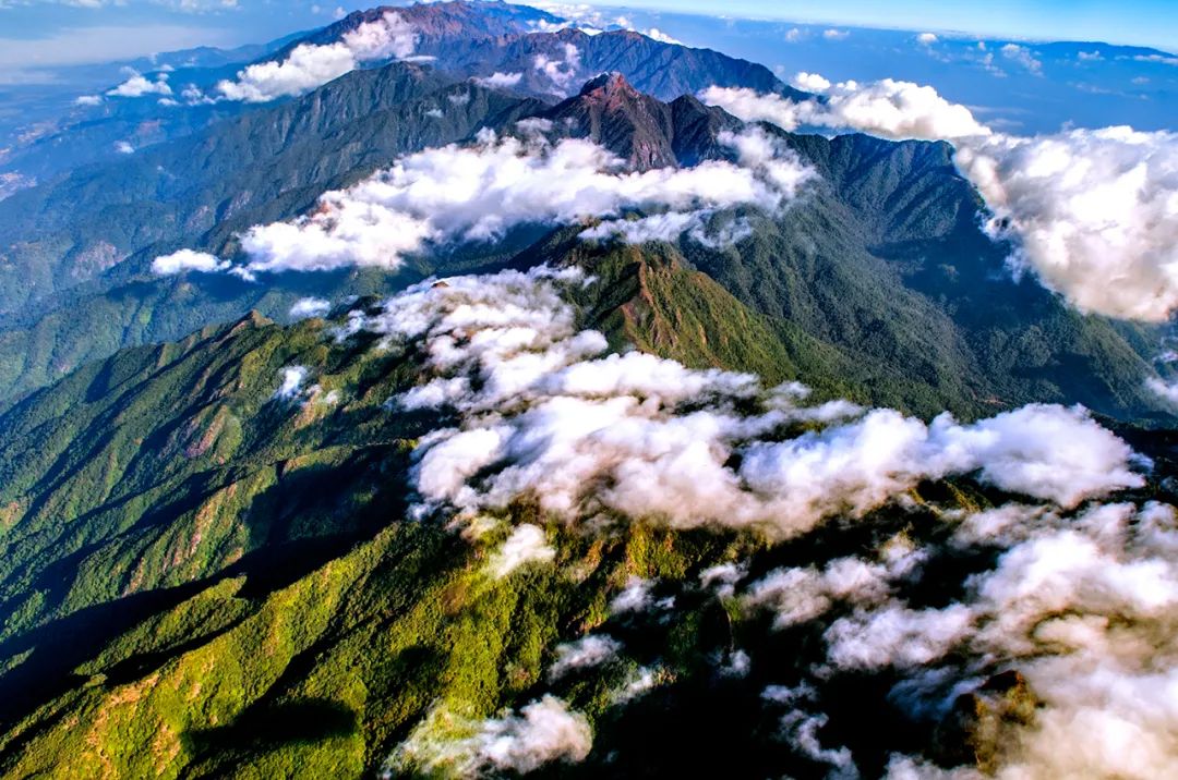 高黎贡山李春旭 摄