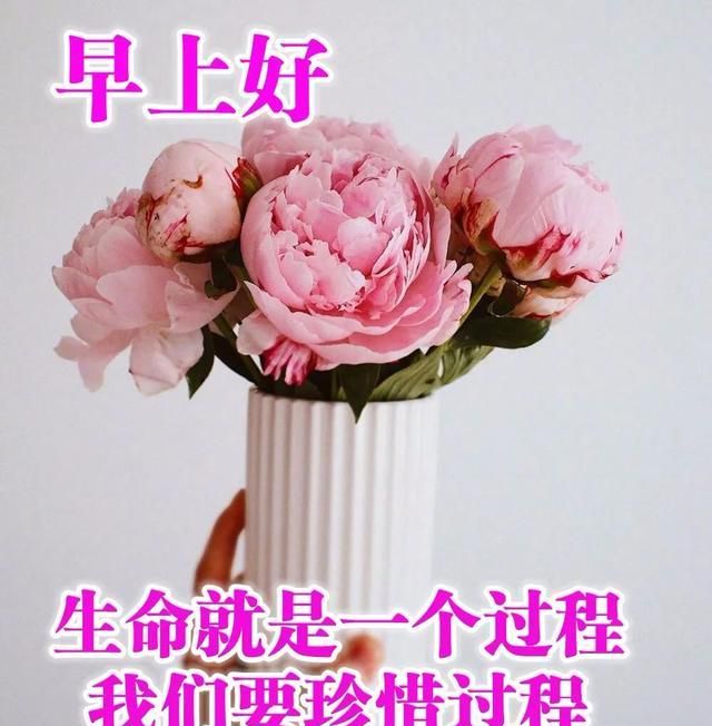 八月周日早上好表情祝福语最新版 让你悟透人生精辟早安句子