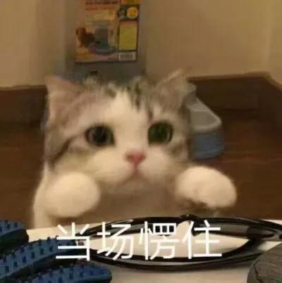 天天向上“出道”十二年，原谅我飙出了时代的眼泪！