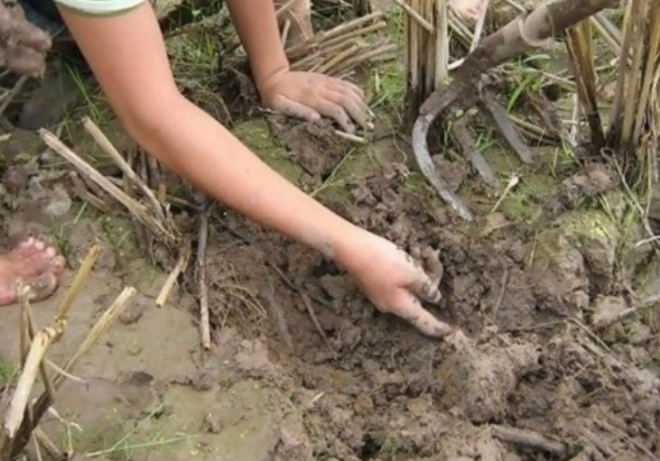 农村孩子去田里挖泥鳅，一不留神翻出了一只“宝贝”，转身回家