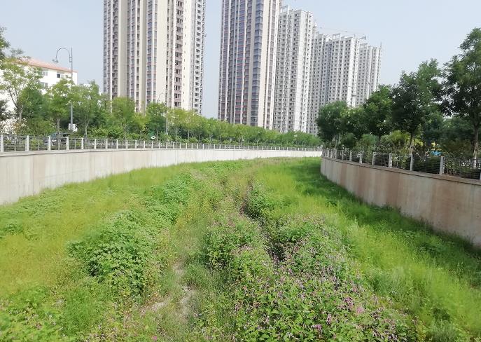 九院沙河沿岸,绿树、植被、高楼相映构成一幅都市美景图。