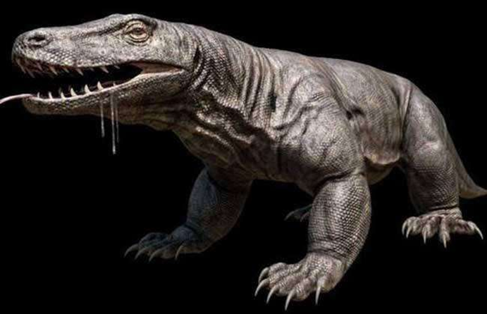 鱼塘里横扫一切的黑鱼，连食人鱼都不怕，它们的天敌是...