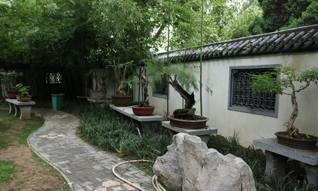 郑州市"最美"庭院,位于紫荆山公园内,典型的苏式园林小园
