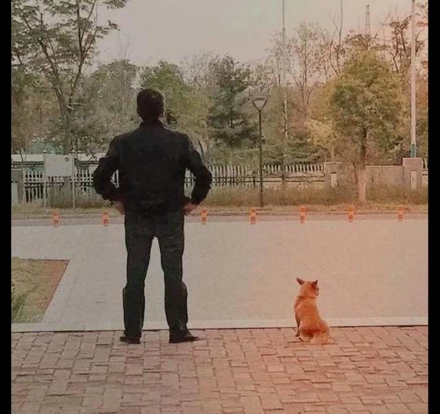 狗仗人势终被灭，大快人心