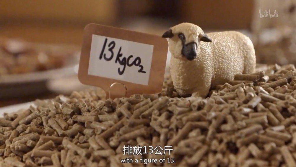 深度探讨:肉鸡服务器价格受哪些因素影响?-优乐评测网