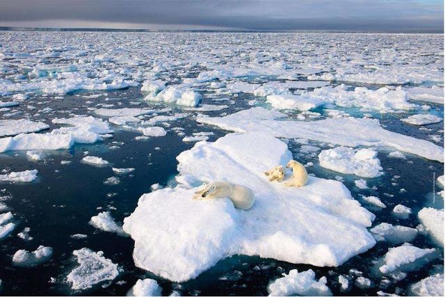 北冰洋出现38°的高温：一条黄金水道现身，巨量油气引全球争夺