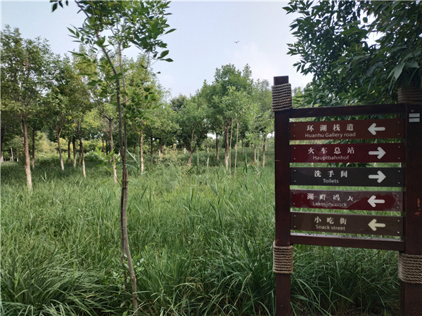 百万关注：西青大学城一条街在哪里｜2023实测位置详解与避坑指南