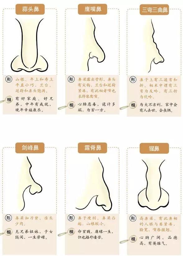 鹰嘴鼻公挖人祖宗相面口诀从眼耳鼻教你直观人心太准