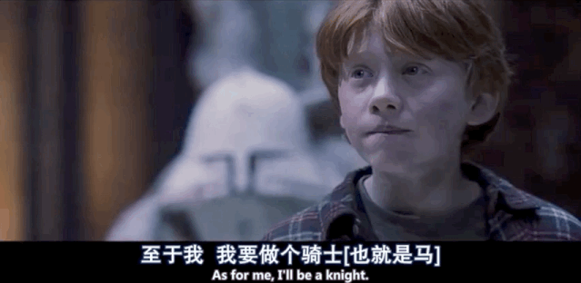 20年后哈利波特重映,才发现我的猫头鹰早就来过了