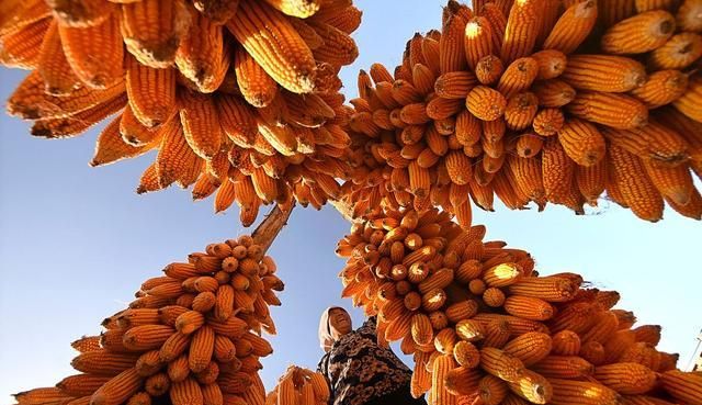 点击图片可在新窗口打开 640×369