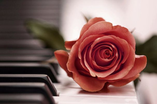 属鼠之人起名宜忌,这些字绝对不要用到,