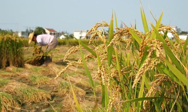 点击图片可在新窗口打开 640×383