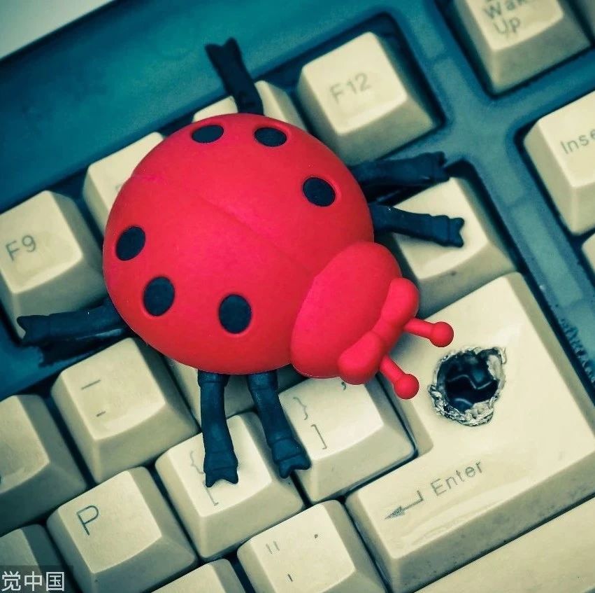 什么是