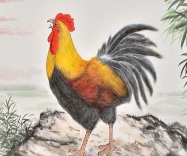 属鸡人若出生在这个月份,一辈子不会缺钱花!